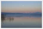 alba di plenilunio alba di plenilunio