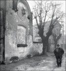 Rovato 2008 , Ex Macello Comunale.
Il giorno seguente a questo scatto i due alberi sono stati tagliati denudando completamente la veduta.
