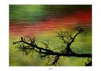 I colori dell'acqua I colori dell'acqua