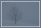 Inverno Inverno