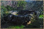 LA VASCA DELLA CANAPA LA VASCA DELLA CANAPA