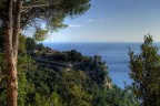 Torre d'avvistamento