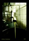 Olio Olio