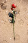 The End The End