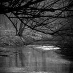 Oasi di Valle Santa - Campotto
Suggerimenti e critiche sempre ben accetti