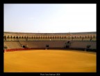 Plaza de Toros - Siviglia