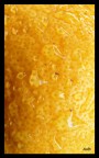 Lemon 2 Lemon 2