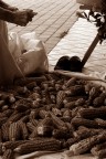 manualita' manualita'