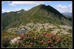 Verso la cima