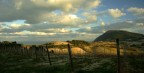 campagna anconetana campagna anconetana