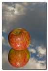 apple apple