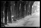 l'attesa l'attesa