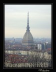 Cartolina da Torino