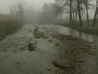 Un tuffo nella nebbia