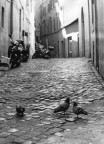 Girando per Roma.. Girando per Roma..