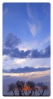 My Sky My Sky