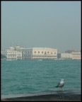 Fosch�a sul Canale della Giudecca