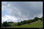 Pastorale 2