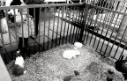 immagini di citta' immagini di citta'
