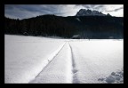 Moso (alta pusteria) Moso (alta pusteria)