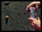 Primi Documenti della Vita sulla Luna! Primi Documenti della Vita sulla Luna!