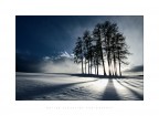 Burst of Light Burst of Light