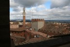 siena siena