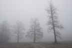 Avvolti nel silenzio Avvolti nel silenzio