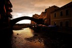 Bogliasco polpettosa Bogliasco polpettosa