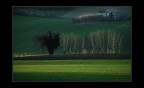 Primi raggi di sole Primi raggi di sole