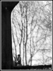 Ombre Silenziose