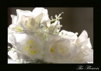 The flowers The flowers
