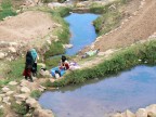 BUCATO ALLA POZZA D'ACQUA BUCATO ALLA POZZA D'ACQUA