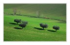 Il fosso Il fosso