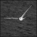 pochi minuti dopo le 9