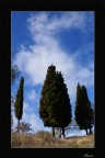 ..Guardando in alto...