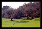 I colori della Val d'Orcia I colori della Val d'Orcia