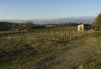 Campagna d'inverno Campagna d'inverno
