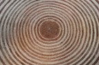 La Cupola La Cupola