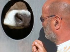 prima della mungitura un salutino prima della mungitura un salutino