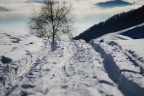 salto nella neve salto nella neve