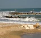 Mare Mare