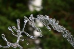acqua... acqua...