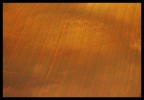 Orange Orange