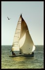 ....navigare..... ....navigare.....
