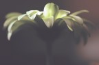 Light is Life Light is Life
