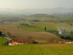 Paesaggio toscano con bruma 2