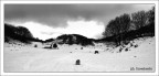 panoramaneve panoramaneve