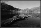 Origlio #3 Origlio #3
