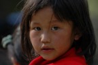 Sapa-08 Sapa-08